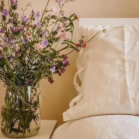Apartmán Il Rosmarino *